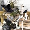 5Pcs Halloween Crow Decorations Realistic Handmade Feather For Home Decorations