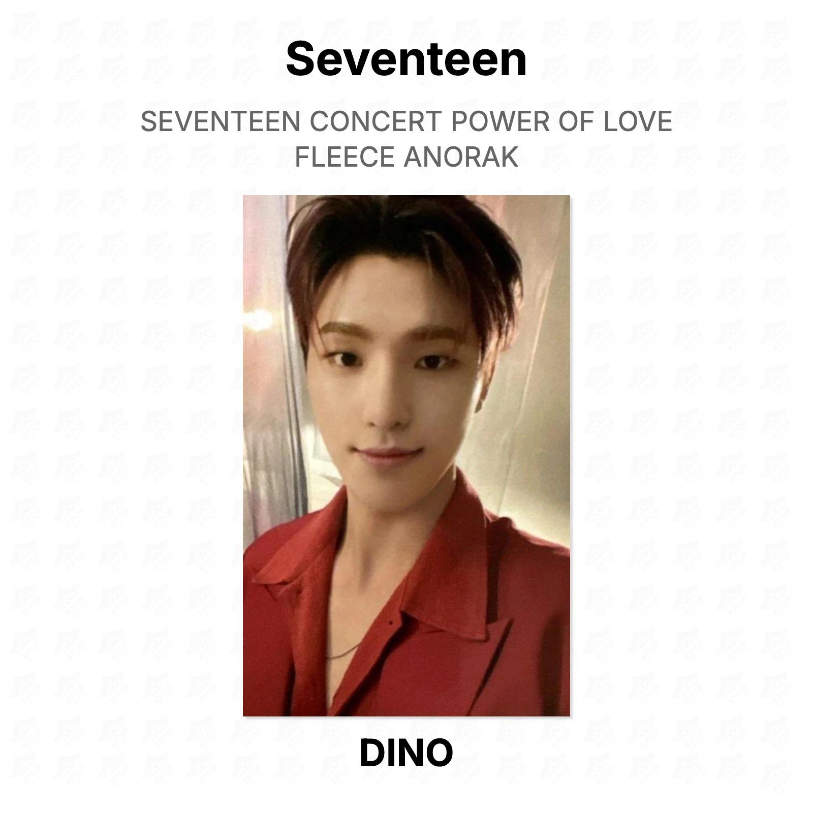 Seventeen КОНЦЕРТ POWER OF LOVE ФЛИСОВЫЙ АНОРАК Официальная фотокарточка DINO