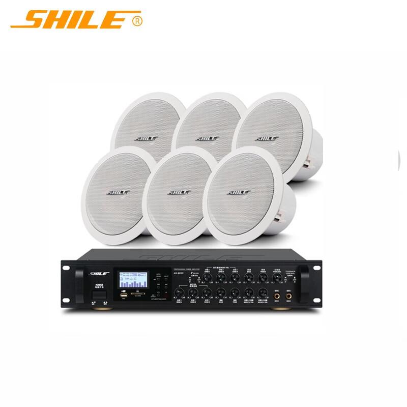 Shile AV8820+BX206 Ceiling Speaker System (CN version)