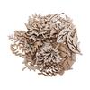 Craft Materials Wooden Hanging Decoration Leaves Shapes Unfinished Wood Pieces for Home and Scrapbooking