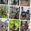 Air Layering Plant Rooting Device Pressure Propagation Balls 6 PCS Grafting
