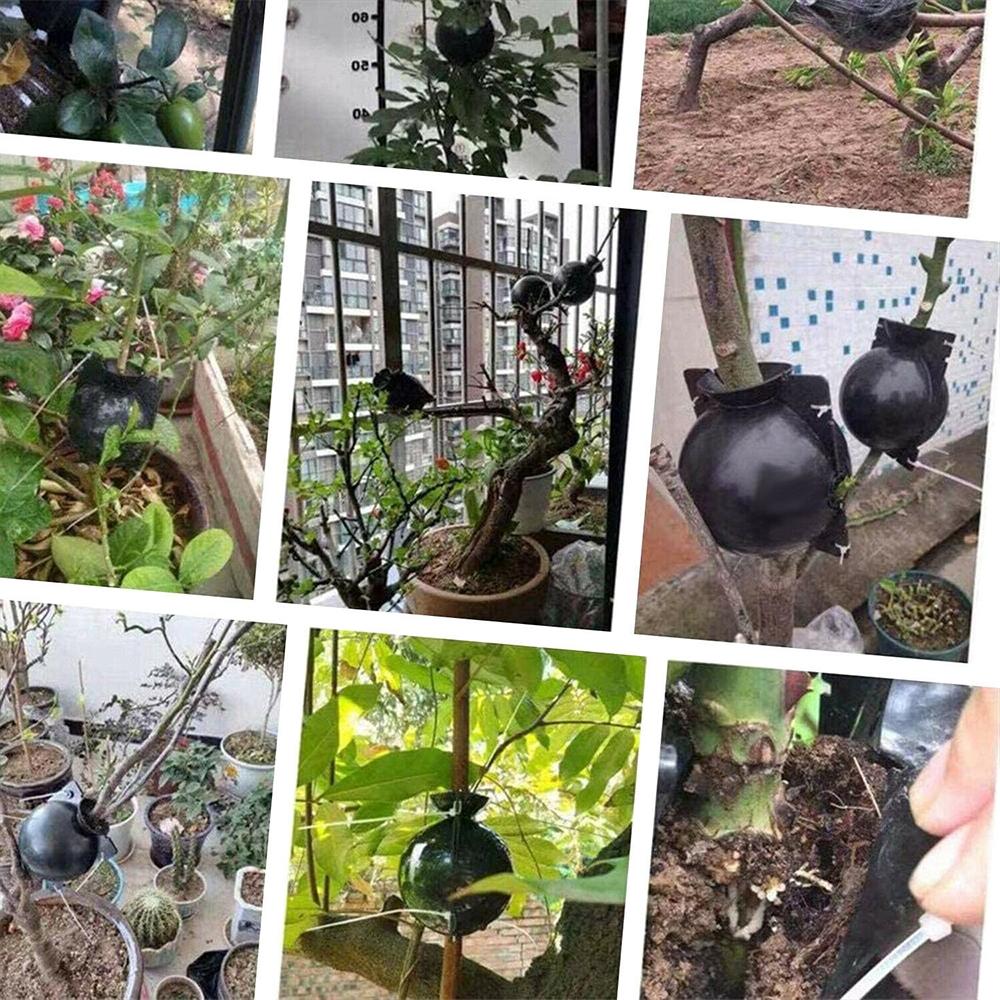 Air Layering Plant Rooting Device Pressure Propagation Balls 6 PCS Grafting