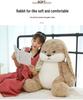 Lop-Eared Rabbit Plush Toy – Children's Hug Pillow and Bedtime Companion