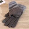 Plush Thick Warm  Gloves Windproof Fleece Gloves Daily Full Finger Gloves  for Winter