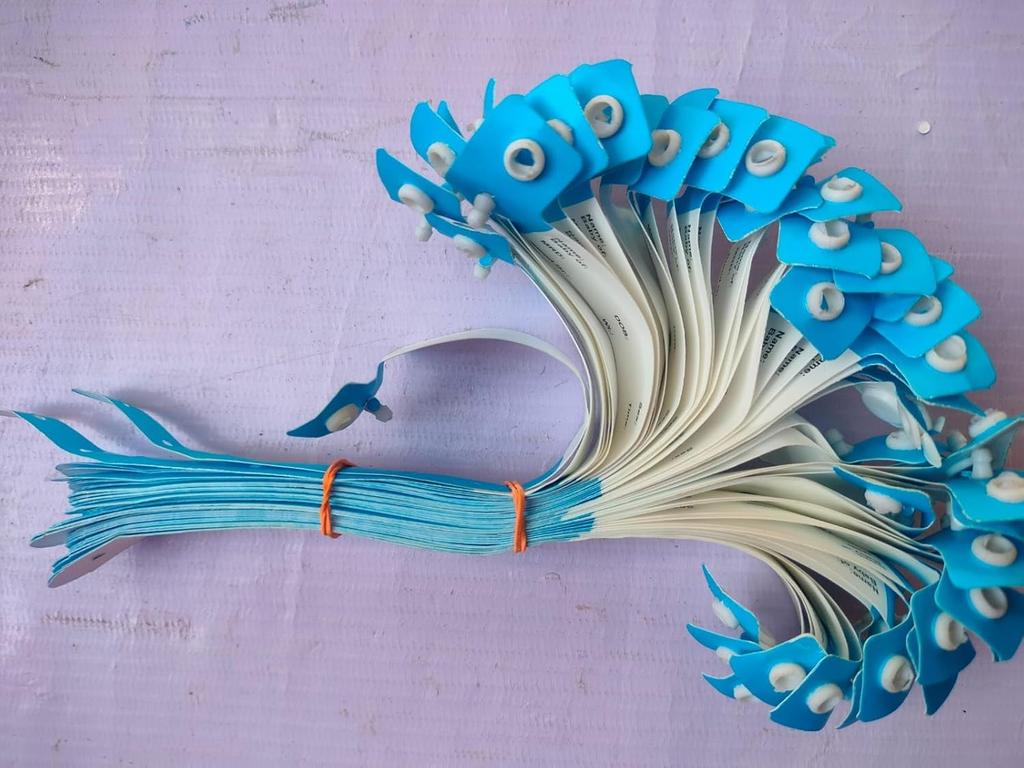 Patient Identification Band for New Born Baby (Pack of 100 Pcs.) Easy To USE