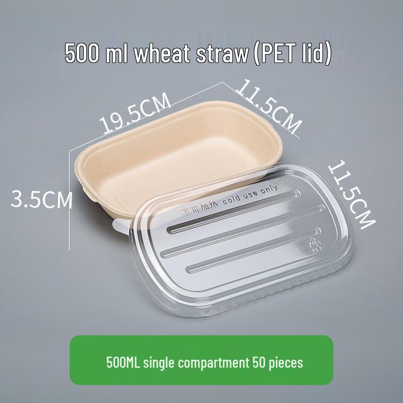 ZISIZ Disposable Lunch Box