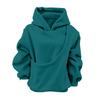 Boys and Girls Fall Winter Casual Long Sleeve Hooded Sweatshirt Pullover for Everyday Wear