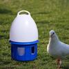 Automatischer Vogelwasserspender mit großer Kapazität Tränke Wasserflasche Käfigzubehör Wasserfütterung Taubenwasserspender für Taube Ente