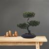 Künstlicher Bonsai-Baum Japanische Kiefer Bonsai Zimmerpflanzen Kunstpflanzen Bonsai-Baum für Schreibtisch Wohnzimmer Büro Badezimmer Bücherregal