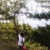 Aokedu Gasoline High-Branch Pole Saw & Pruner