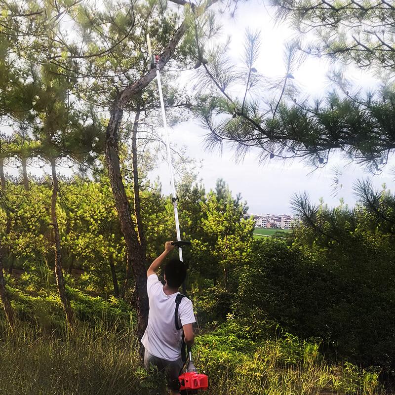 Aokedu Gasoline High-Branch Pole Saw & Pruner