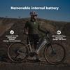 Elektrofahrrad DERUIZ Dolomit 29" 250W Mittelmotor MTB EBike, 720Wh Samsung Akku, Max. Reichweite 180km, Intelligenter Automatikmodus, 110Nm Drehmoment, Zuladung 150kg