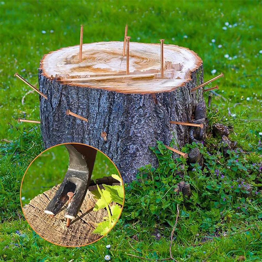 65/75mm Kupfernägel Zum Töten von Bäumen Baumstumpf Wurzel Stumpfentfernung Spikes Beschläge Zum Töten von Bäumen Baumstumpf Wurzel Beschläge Bäume