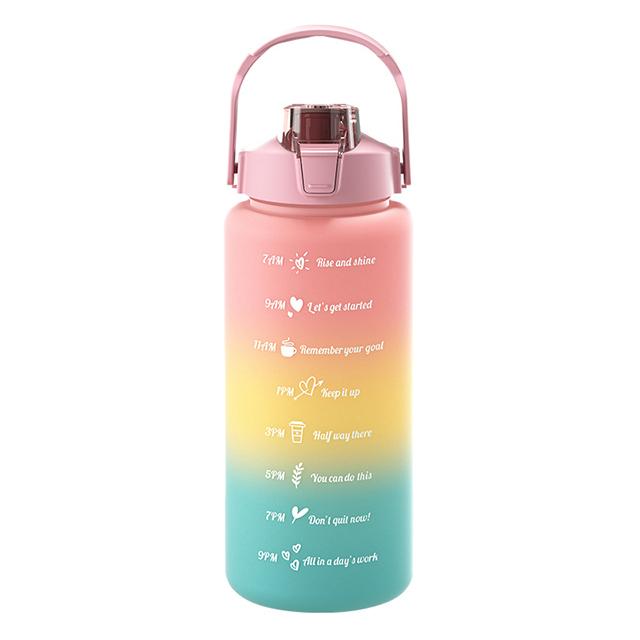 Large Capacity Sports Water Bottle With Straw Portable Handle Heat-resistant Outdoor Frosted Plastic Gradient Color Space Kettle