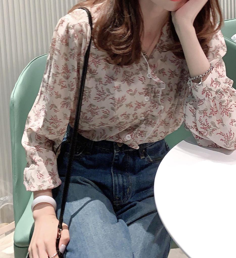 Spring/Autumn 2025 Korean Floral Chiffon Bubble Sleeve Blouse - Women's Long Sleeve Elegant Top