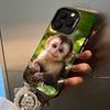 C-Cute Funny Monkey Phone Case For iPhone 17,16,15,14,13,12,11 Plus Pro Max Colored Silver Phone Case