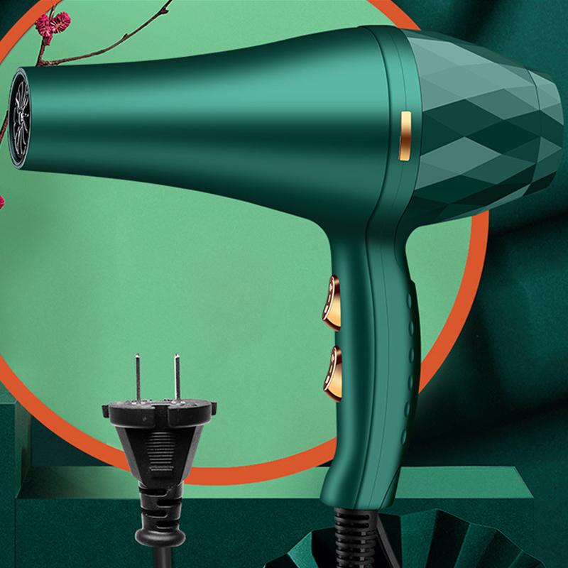 Hair Dryer Professional Negative Ion Blower Home Use Cold Blow Drying Salon Blower Diffuser Concentrator Nozzle