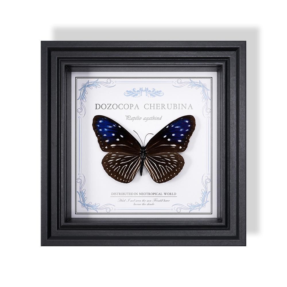 Wall-Mounted Butterfly Specimen Photo Frame: Home Decor & Gift for Valentine's Day, Qixi, Birthday, Couples & Insect Lovers