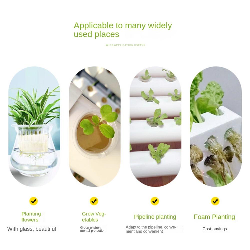 50/100 Stück erdeloser hydroponischer Anzuchschwamm Runder Pflanzschwamm Hydroponischer Schwamm Gemüse Blumen Setzlingsschale
