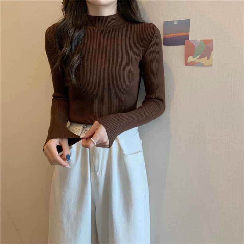 Frauen Herbst Rollkragenpullover Gestrickte Weiche Pullover Grundlegende Kaschmir Pullover Für Frauen Herbst Winter