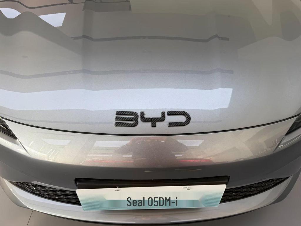 BYD Seal 05 DM-i Rearview Mirror Protective Cover - Exterior Trim Accessory