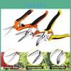 Conjunto de Tesouras de Jardim Com Lâminas de Aço Inoxidável Para Podar Árvores Frutíferas e Uso no Jardim