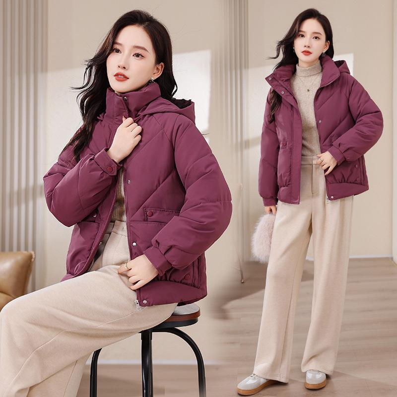 Women Oversized Outerwear Women Winter Coats Hooded Casual Loose Thick Warm Lady Jackets Plus Size Women Clothing