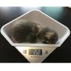 Multi-Function and Kitchen Scale for New Born Puppy or Small Kitty With Bowl