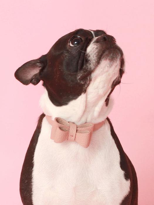 

MAISON DE MIU Soft Ribbon Collar M_Rose Pink Gold