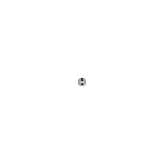 [Arias] Pulseira de Uretano Amalfidia Analógica à Prova d'Água Mostrador Branco WW20050A-199 Feminino Azul