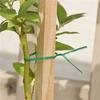 Gardening Plants and Plants Climbing Vines Fixed Cable Tie Bracket Coil Wire Plastic Wire with Shears