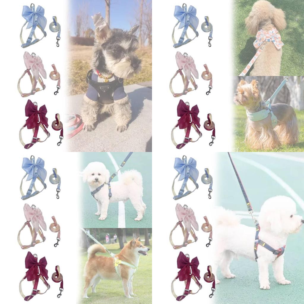 Pet Dog Leash Set With Bright Silk Large Bowknot Chest Harness For Small Dogs And Cats
