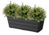 Balcony flowerpot 40 cm anthracite box