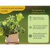 2pcs Self Watering Globes Cactus Shape Glass Plant Watering Globes Self Watering Planter Insert Cacti Plant Watering Devices Automatic Plant