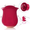 Silicone Vibrator, Nipple Clitoris Anal Stimulation Massager 10 Vibration Modes Unisex Adult Sexy Toys, Sex Toy For Ladies