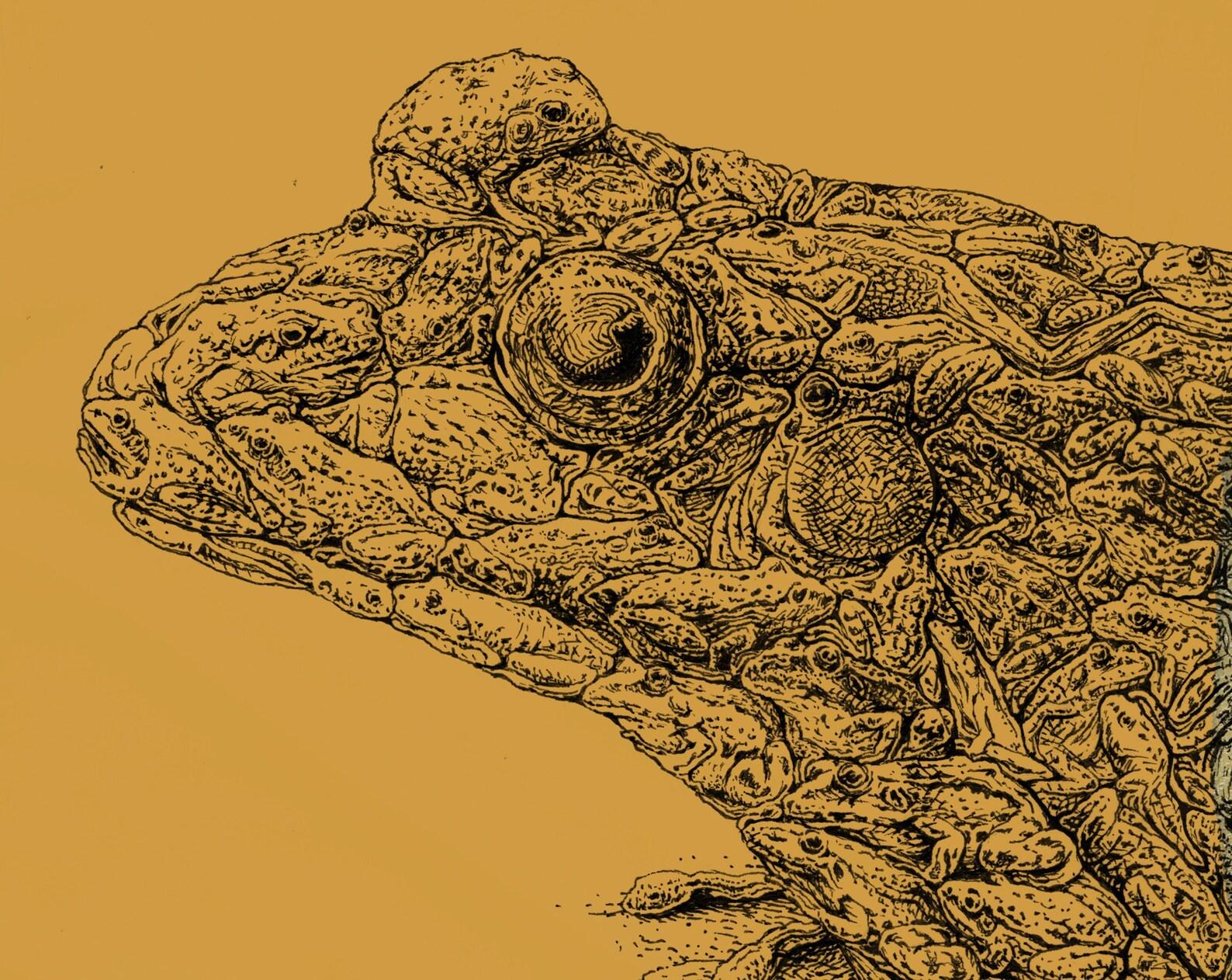 Frog of Frogs T-Shirt: Weird Animal Art Tee, Gift for frog lovers 2XL