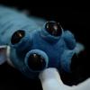 ZHONGXIN MADE Ancient Creatures Series Realistic Opabinia Regalis Plush Toy with Soft Tentacles Oversized Stuffed Animal Cambrian Sea Creature for