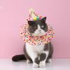 Pet Dog Birthday Dress Up Polka Dot Lace Bib Birthday Hat Set Cat Dog Candy Colorful Ball Bib Collar INS Headwear Birthday Gift