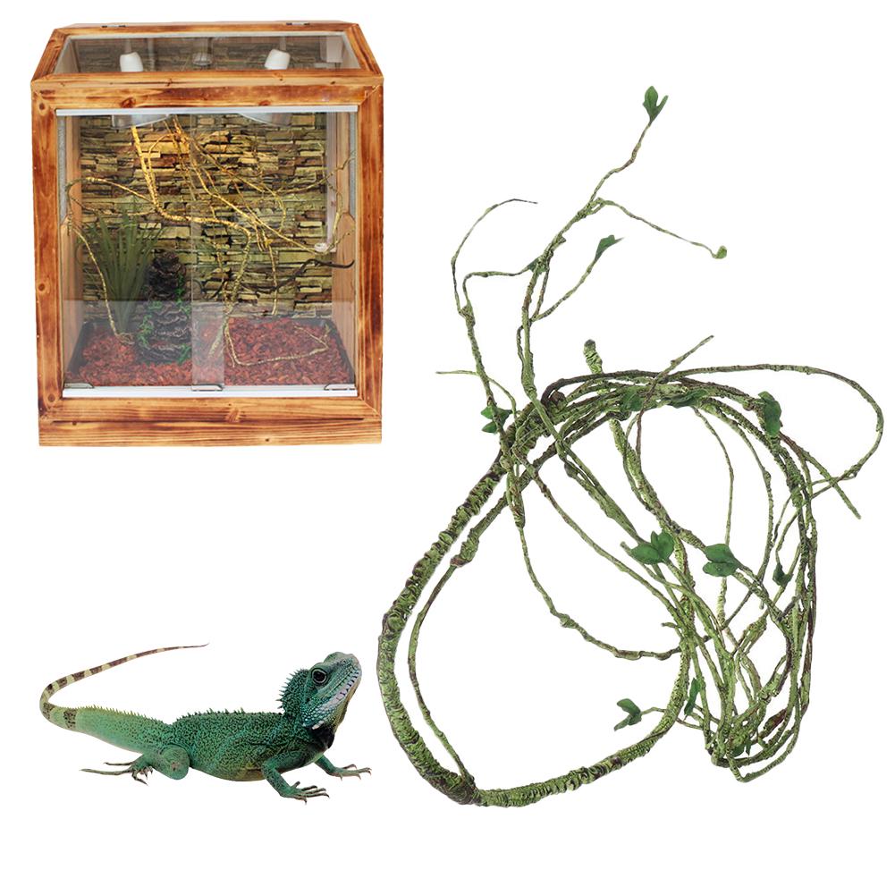 lizard habitat accessories