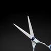 Hairdressing Scissors: Split-Ends Specialist for Apprentice Practice and Home Haircuts