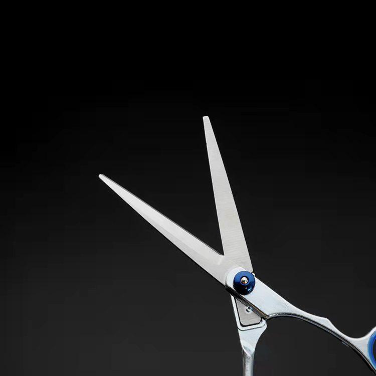 Hairdressing Scissors: Split-Ends Specialist for Apprentice Practice and Home Haircuts