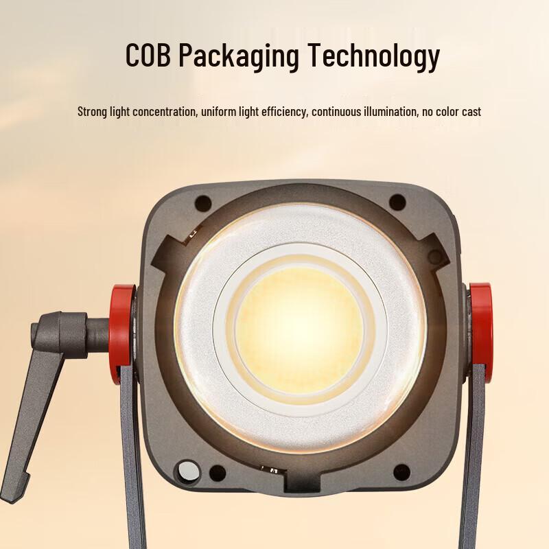 JINBEI JL-220BI Bi-color LED Video Light Kit
