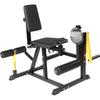 WF Weiliken Seated Leg Extension Machine