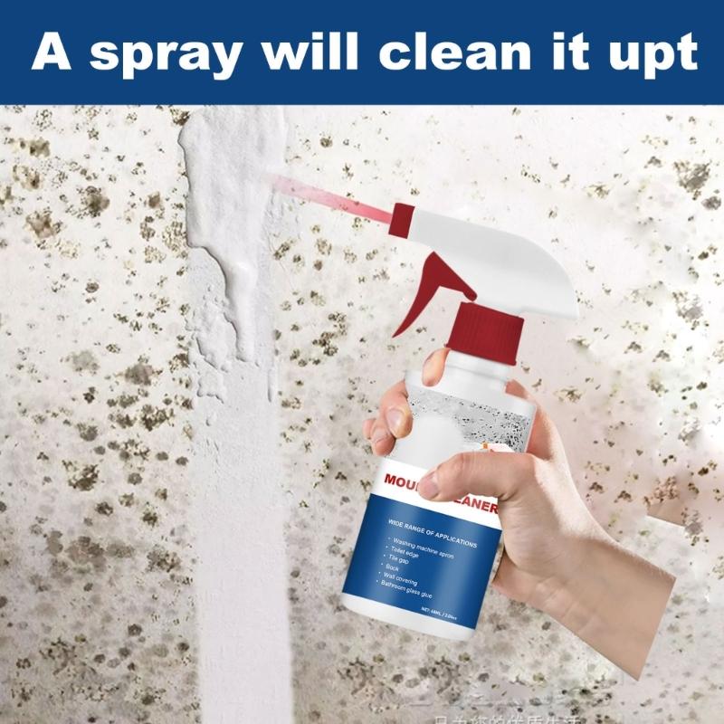 Spray Detergente Antimuffa da 60ml Rimuovi Muffa da Parete Efficace per la Casa Spray Rimuovi Muffa