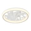 Hot Wheels Ultra-Thin Silent Ceiling Fan Light with Invisible Chandelier for Living Room & Bedroom
