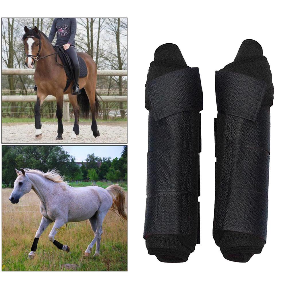 Buy Equine Sport Horse Jumping Tendon Boot Leg Protection Brushing