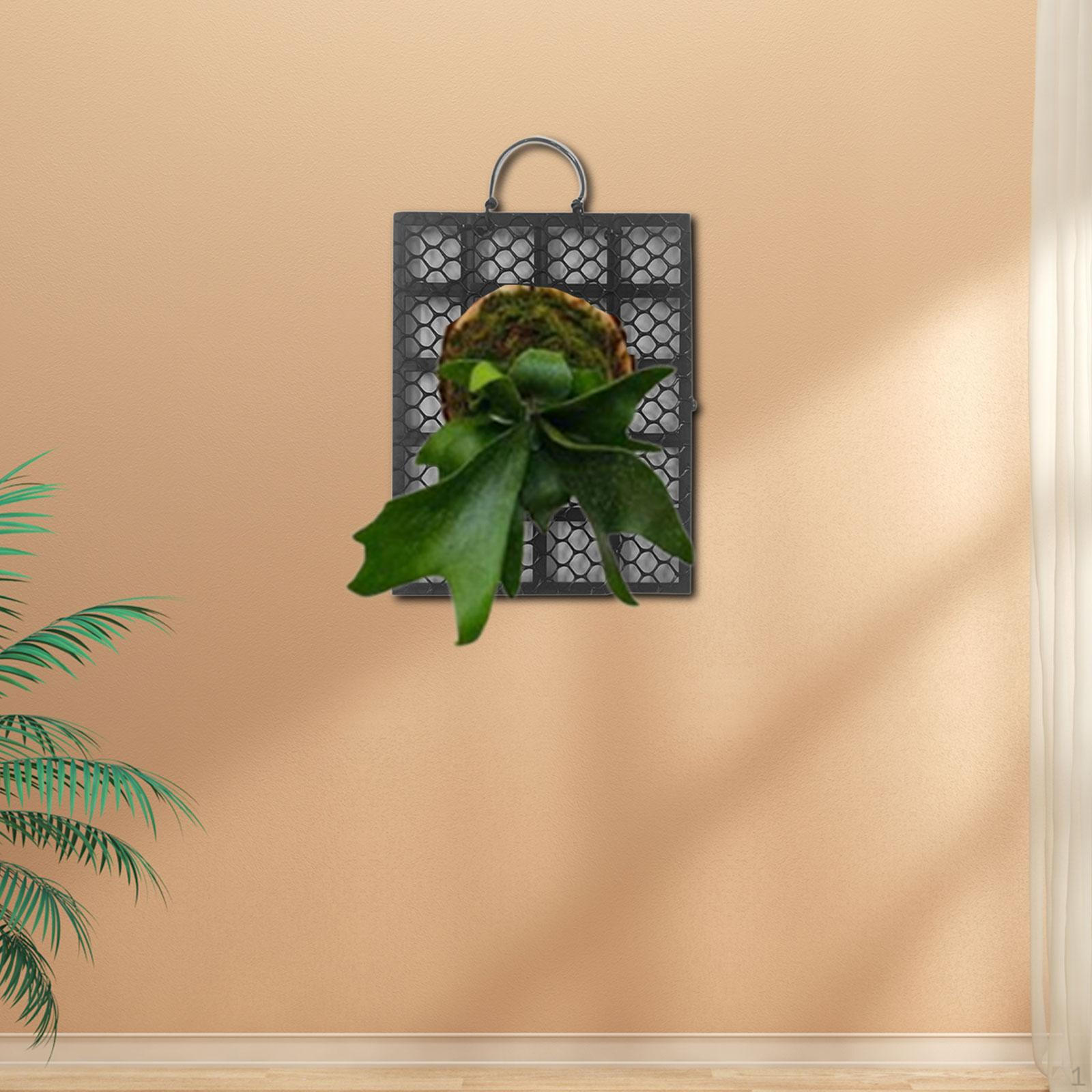 

Fern Bed Board Garden Wall Mount Panel Indoor Planter Mounting Plant M