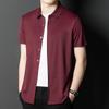Seamless Iron-free Ice Silk Short-sleeved Men's Shirt Summer New Style Young and Middle-aged Business Casual High-elastic Thin Shirt for Men