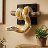 Gotische Akzent Goldene Ballpython Wandkunst Reptilien-Thema Python Wandornament Für Schlangenliebhaber