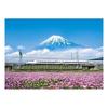 Yanoman [Made in Japan] 500-Piece Jigsaw Puzzle: Japanese Scenery - Lotus Flowers and Mt. Fuji (Shiz